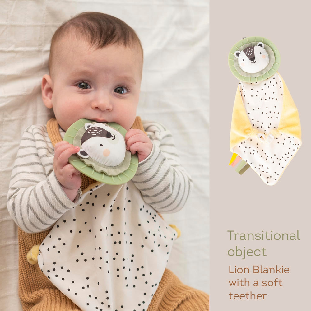 TAF TOYS soft teether and rattle for soothing and grasping