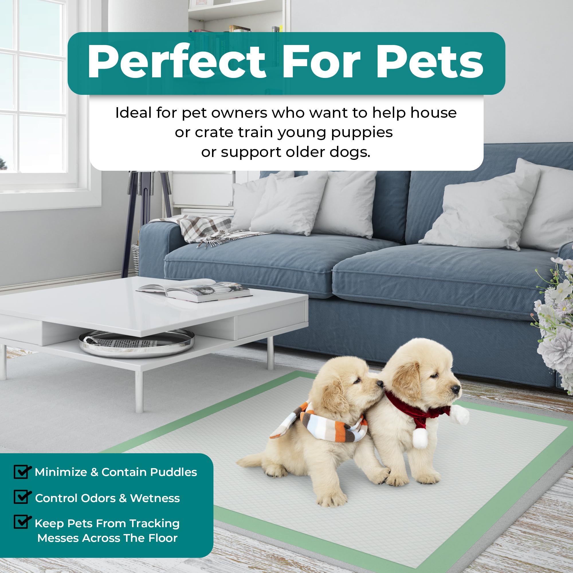 Teal Elite Chucks Pads suitable for babies and pets at home.
