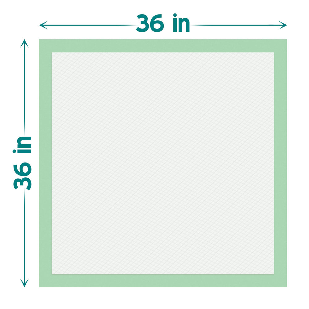 Teal Elite Chucks Pads waterproof backing protects beds from leaks