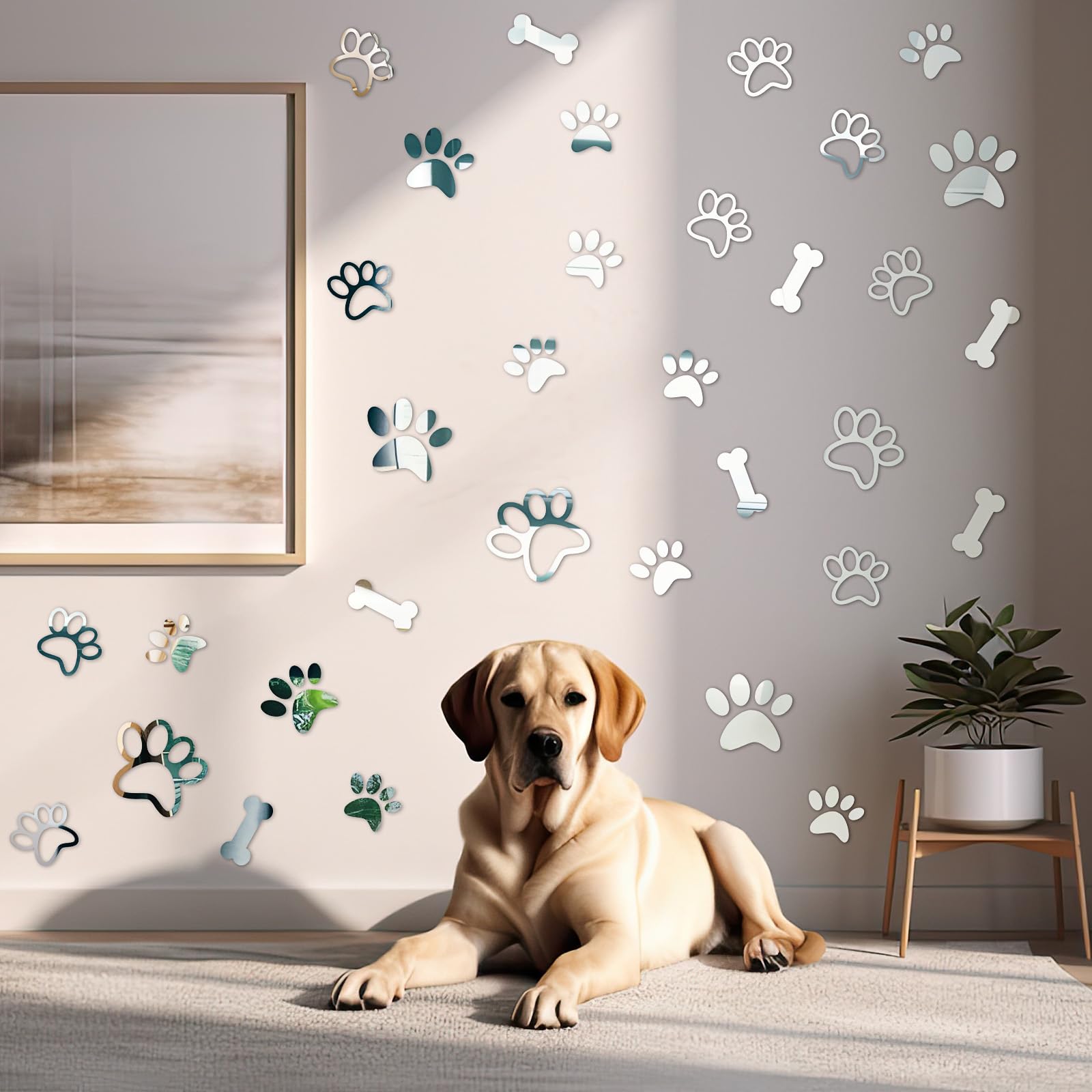 Tenare wall decor setup shows reflective light and cozy ambience.