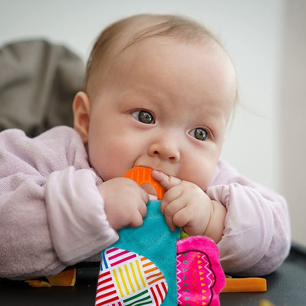 Teytoy Squeaky inside toy invites curiosity under supervision.
