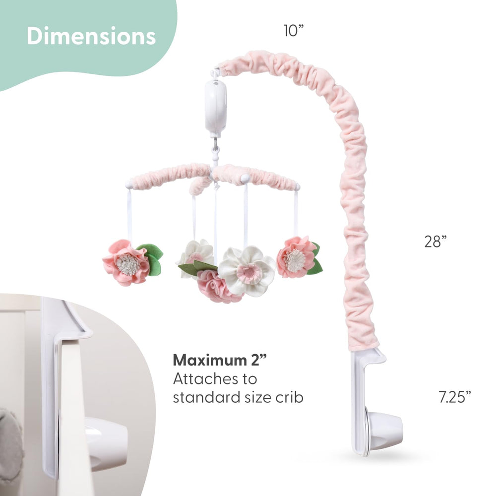 The Peanutshell 12-lullabies feature offers soothing tune variety.