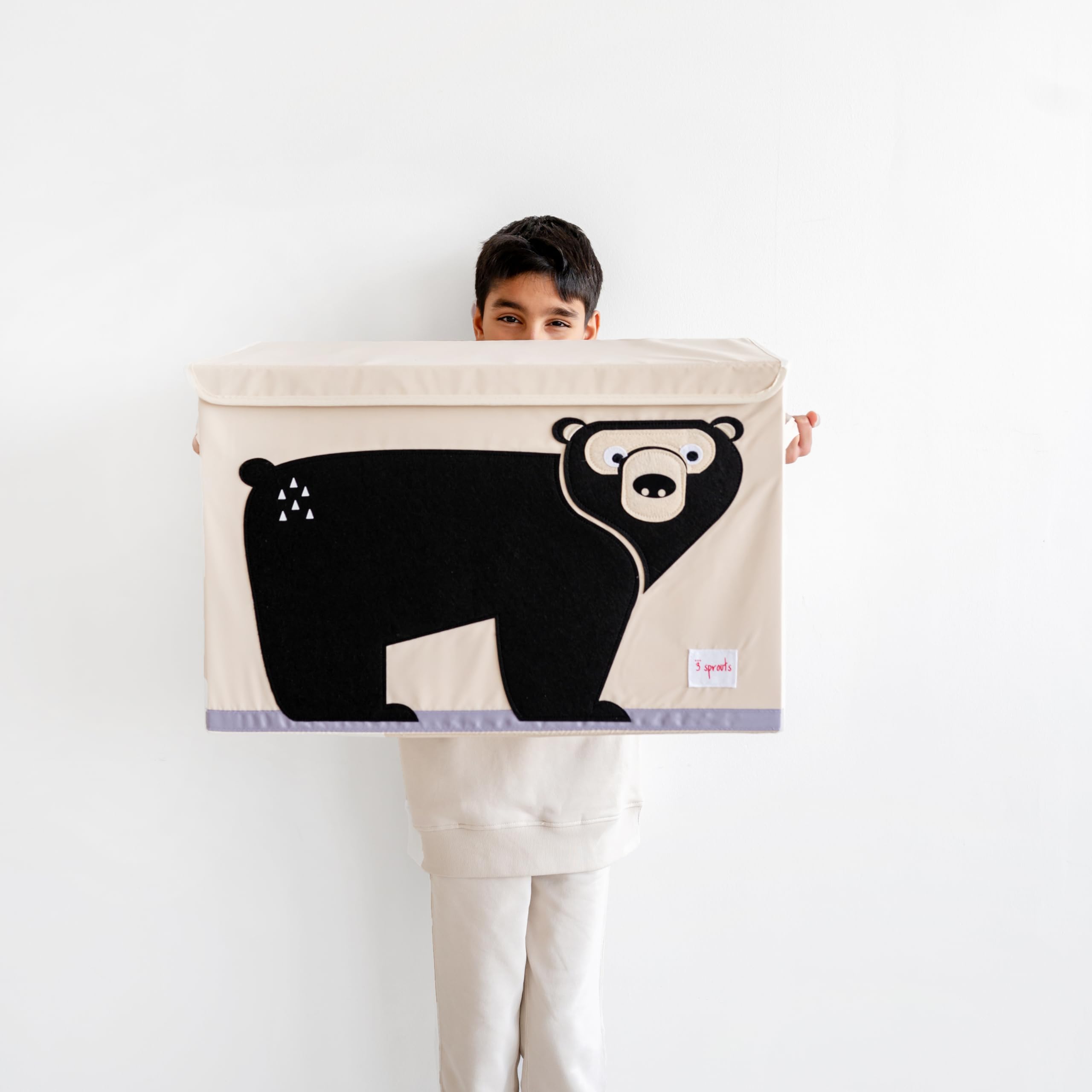 Three Sprouts toy chest with sturdy side handles for easy carrying.