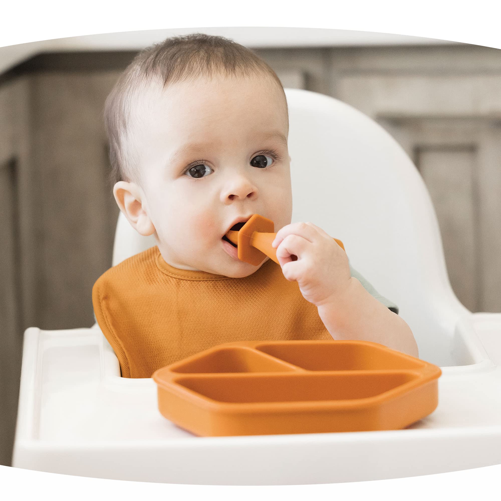 Tiny Twinkle divided-sections plate highlights portioned meals for variety