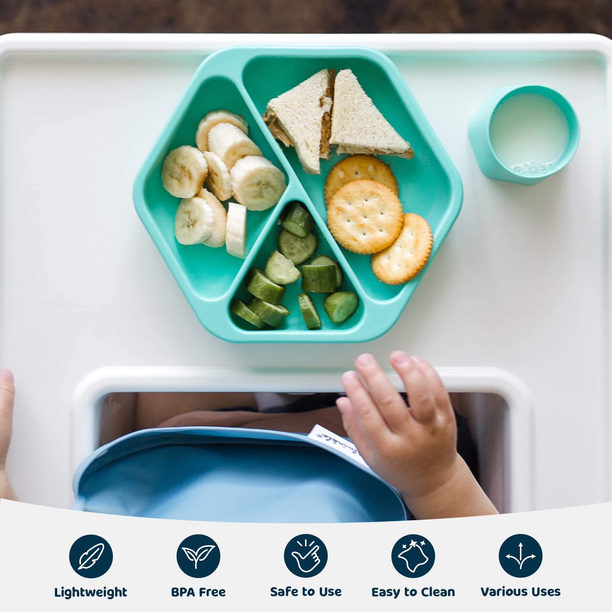 Tiny Twinkle mint plate with lid keeps meals fresh and protected between feeds.