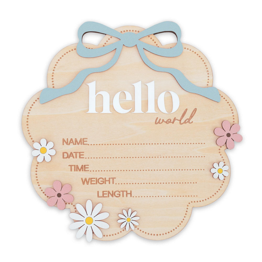 TTMerriwood Hello World sign with pink bow on a cloud shape for baby girl birth announcement.
