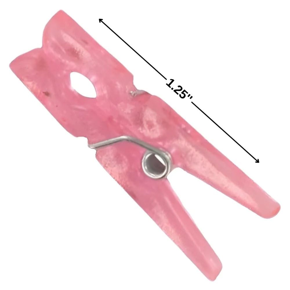 Unique 12-pack clothespin favors simplify party planning.