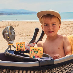Veer Flex Fan lightweight and portable for travel