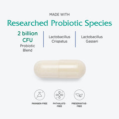 Vitanica V-Probiotics single suppository ready for insertion