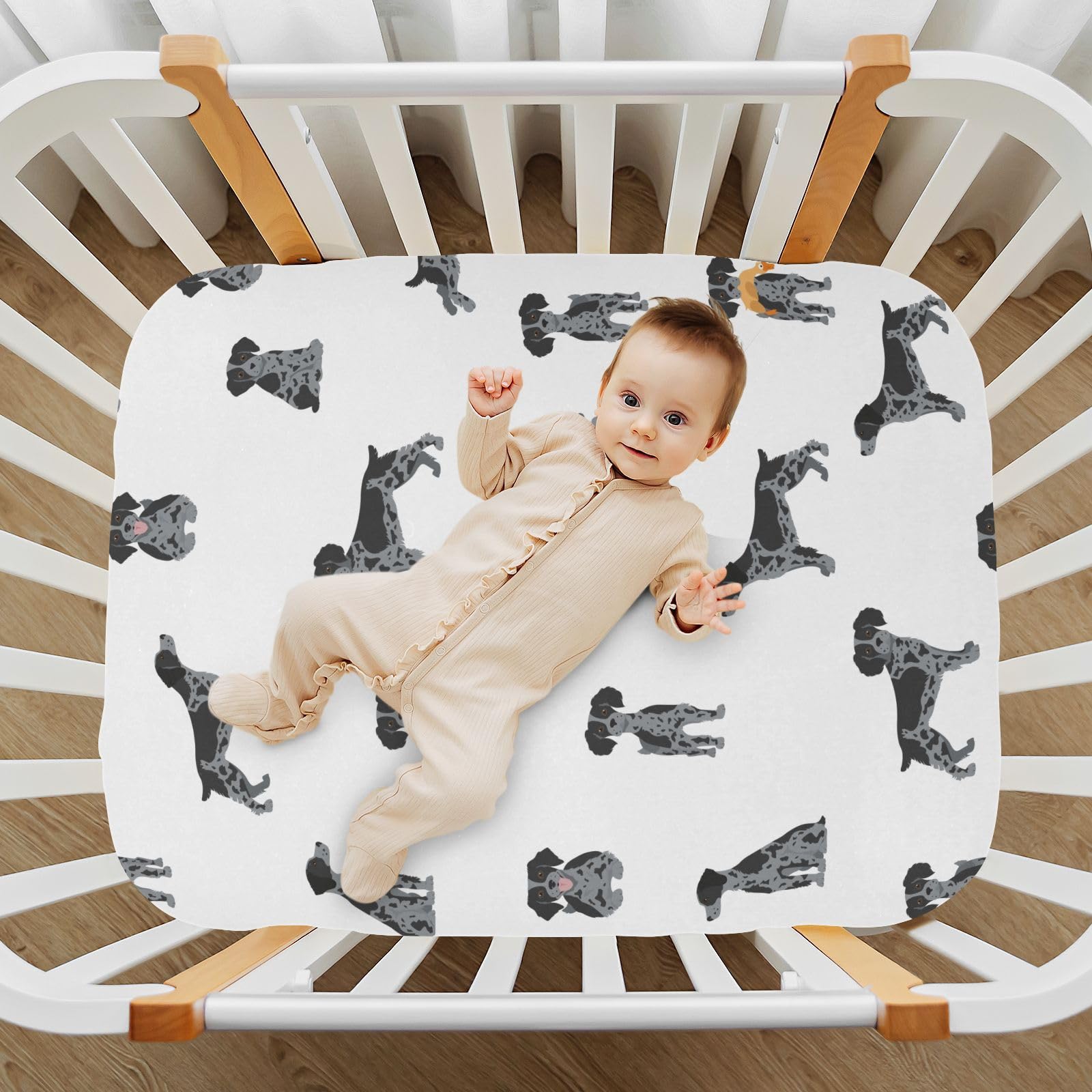 vvfelixl Brittany Spaneil colorful patterns enhance nursery ambience