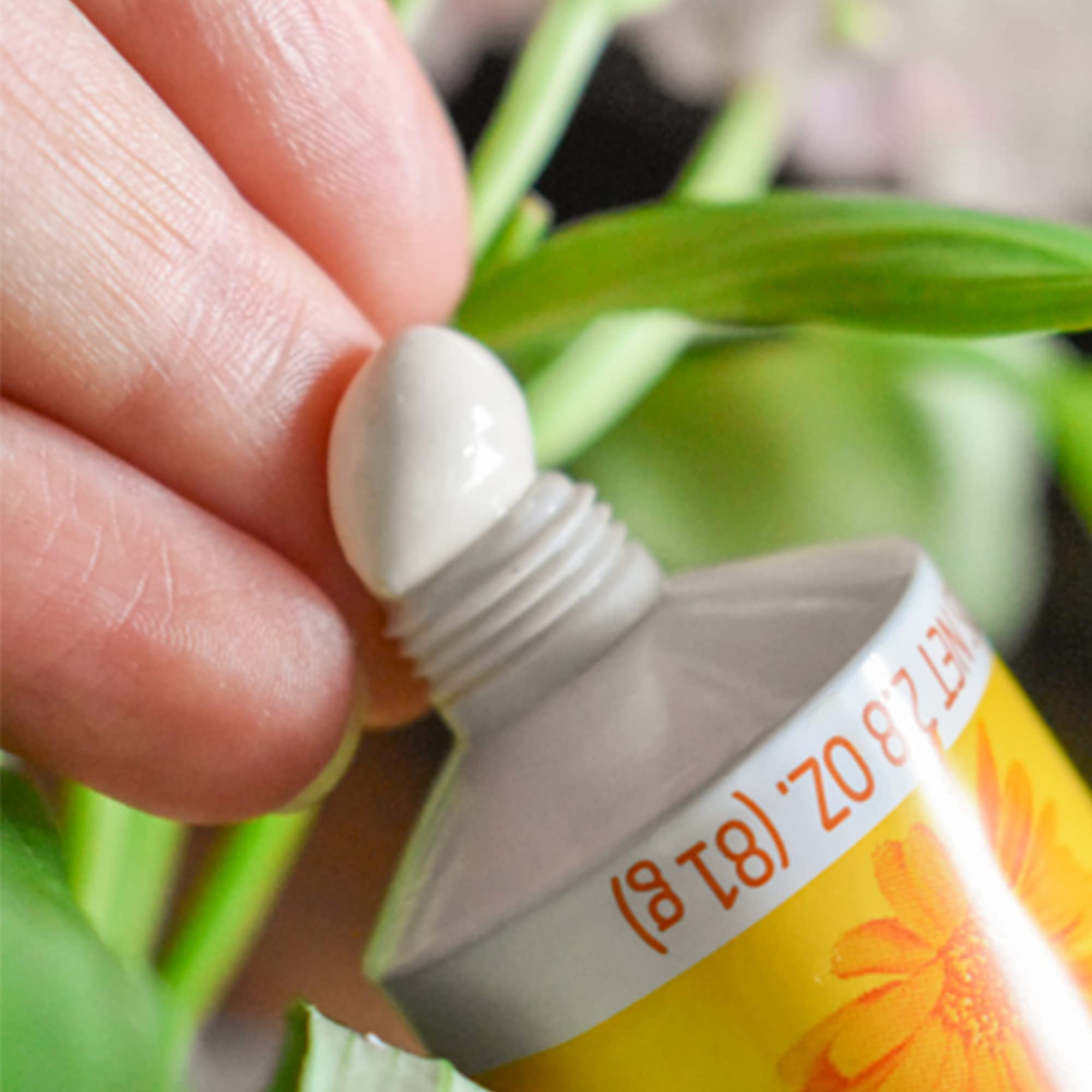 Dermatologically tested Weleda formula free from synthetic fragrances