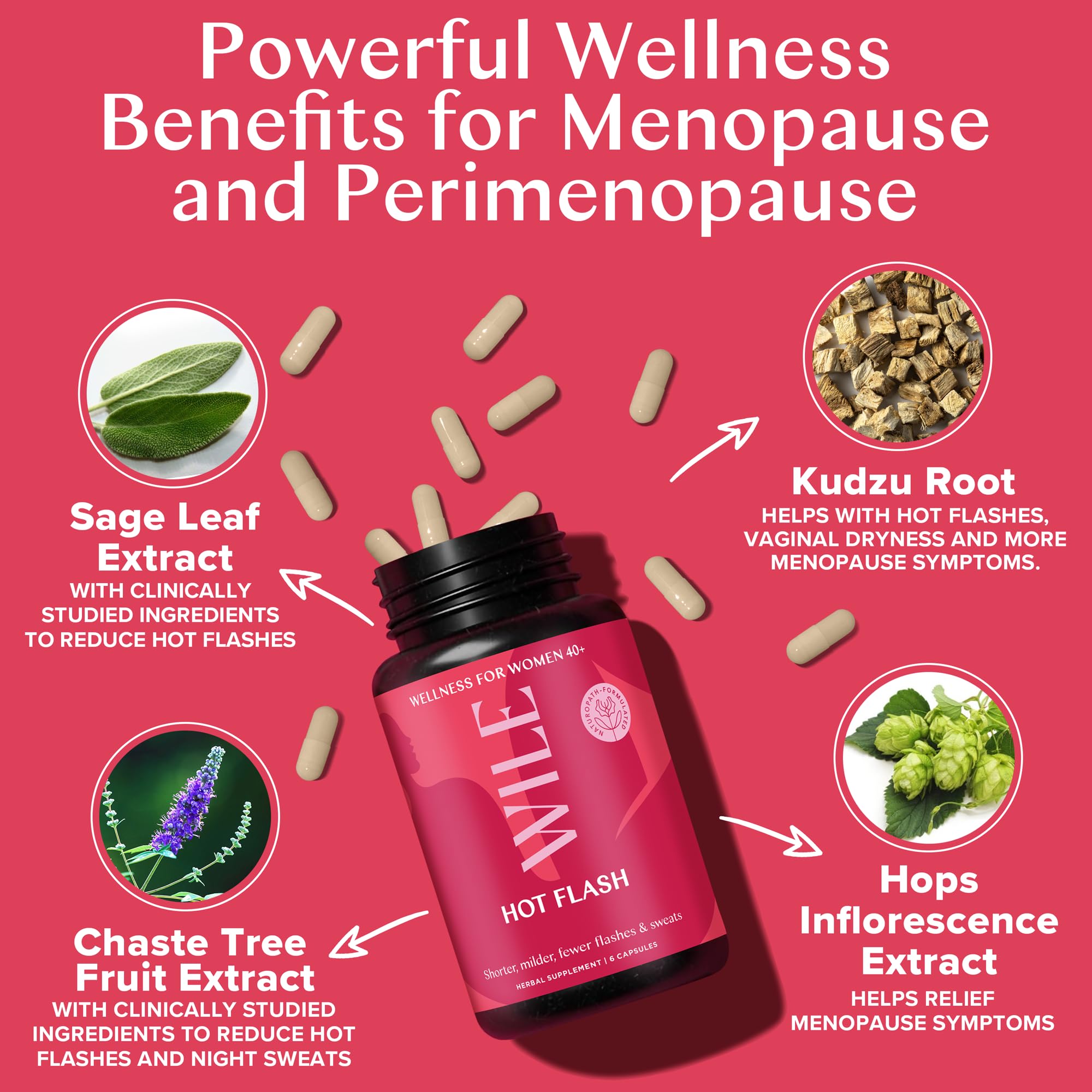 WILE Menopause & Perimenopause Supplements — Hot Flash Relief, Sleep Support, Kudzu Root | 30 Servings