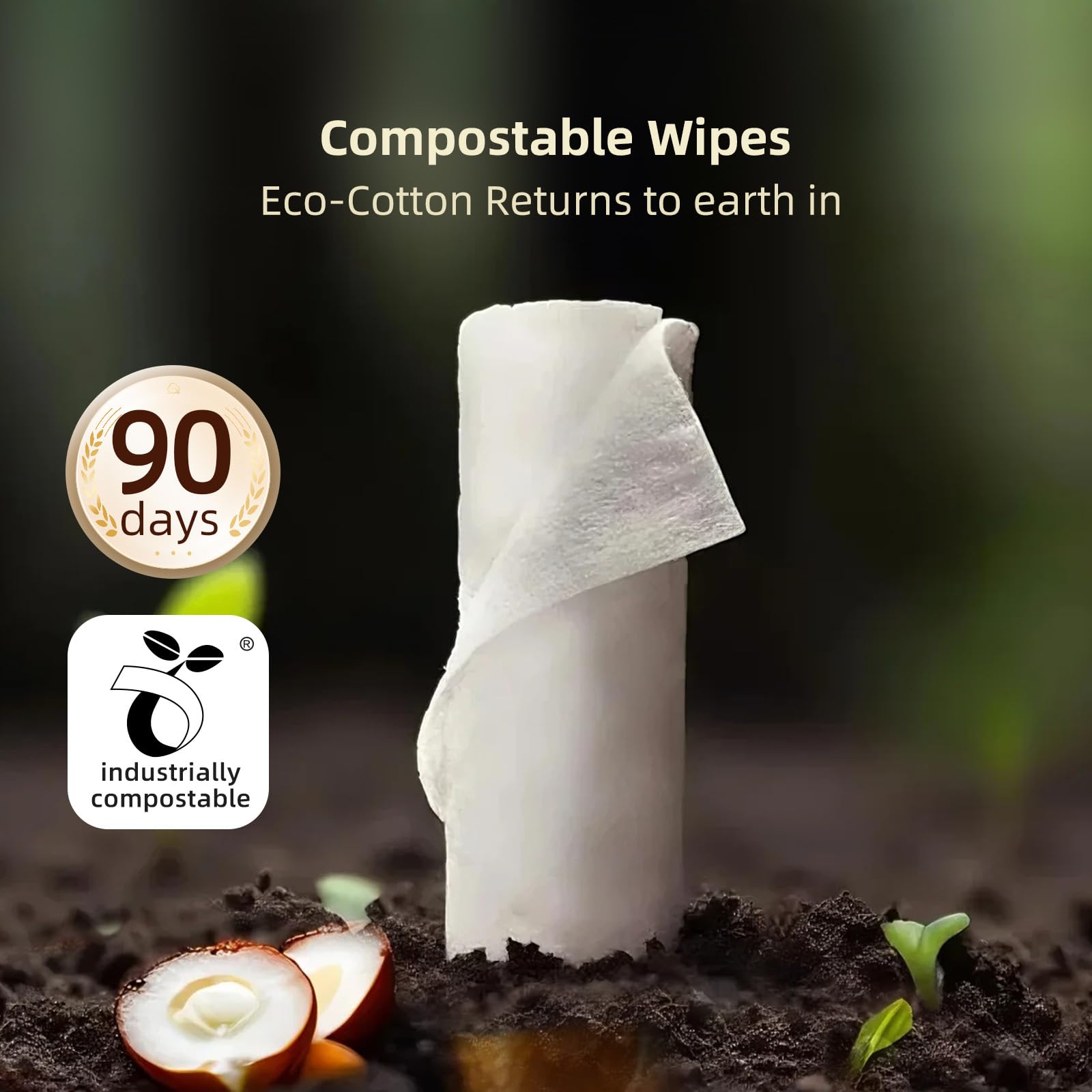 Winner 100-count pack provides convenient, ready-to-use wipes for busy households.