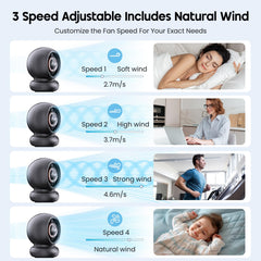 WITHOUSE 75-degree auto-oscillation delivers even airflow.