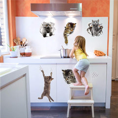 WMdecal non-toxic PVC wall decor keeps environments safe and stylish.