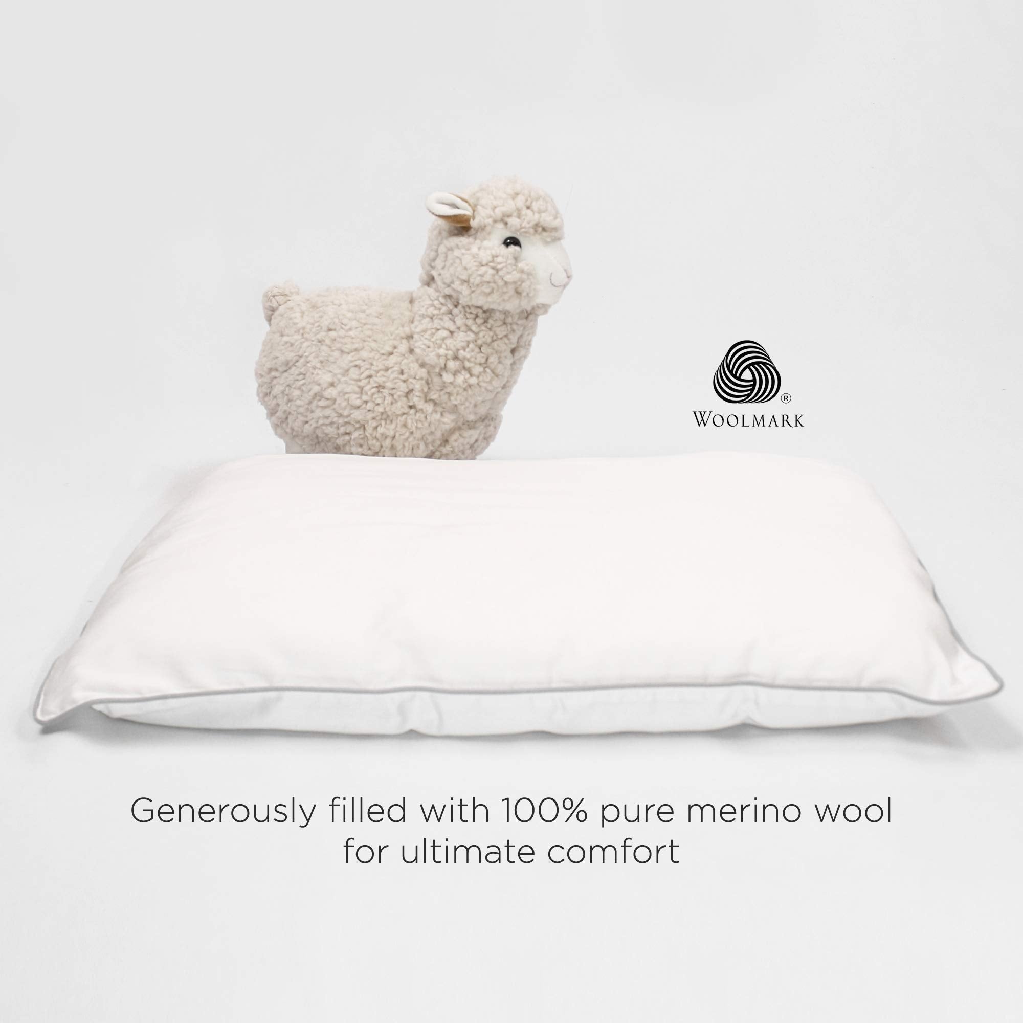 Woolino Toddler Pillow fits cribs and toddler beds at 14x19.