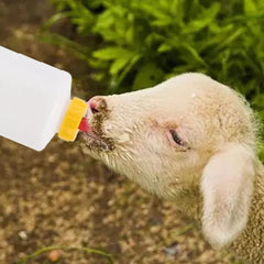 WoYous nipple vent design visible to prevent leakage during feeding