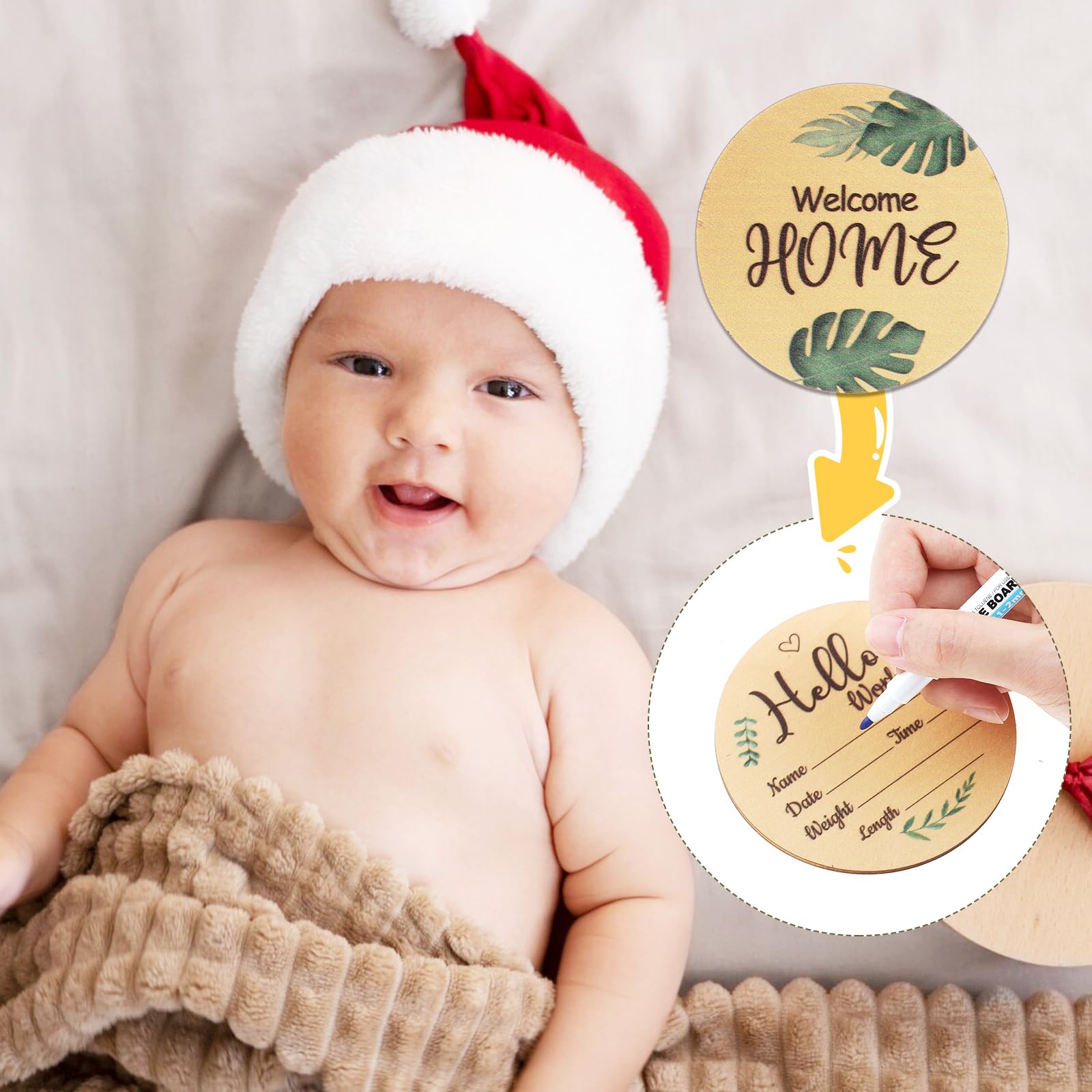 WSICSE month 1-12 milestones cards for growth tracking