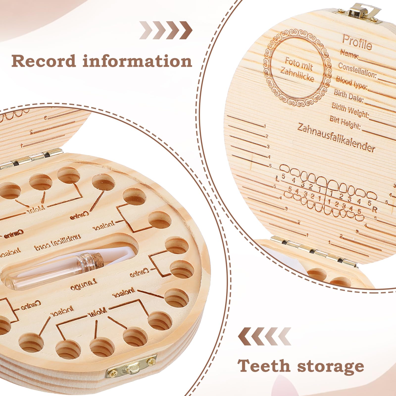 WY LIGHTING LEVEL wooden stick supports precise tooth placement.