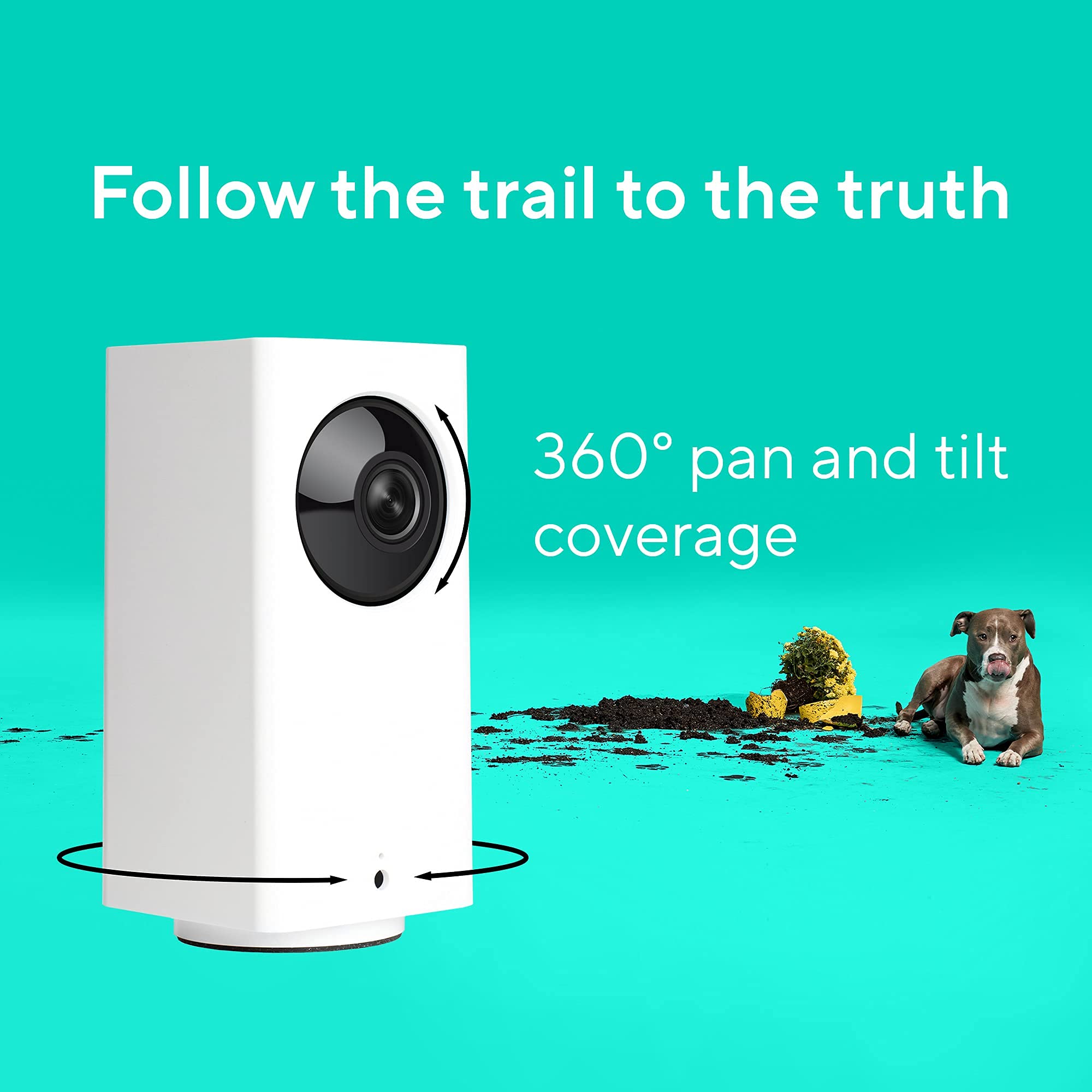 Wyze Cam Pan v2 color night vision reveals color detail in low light.