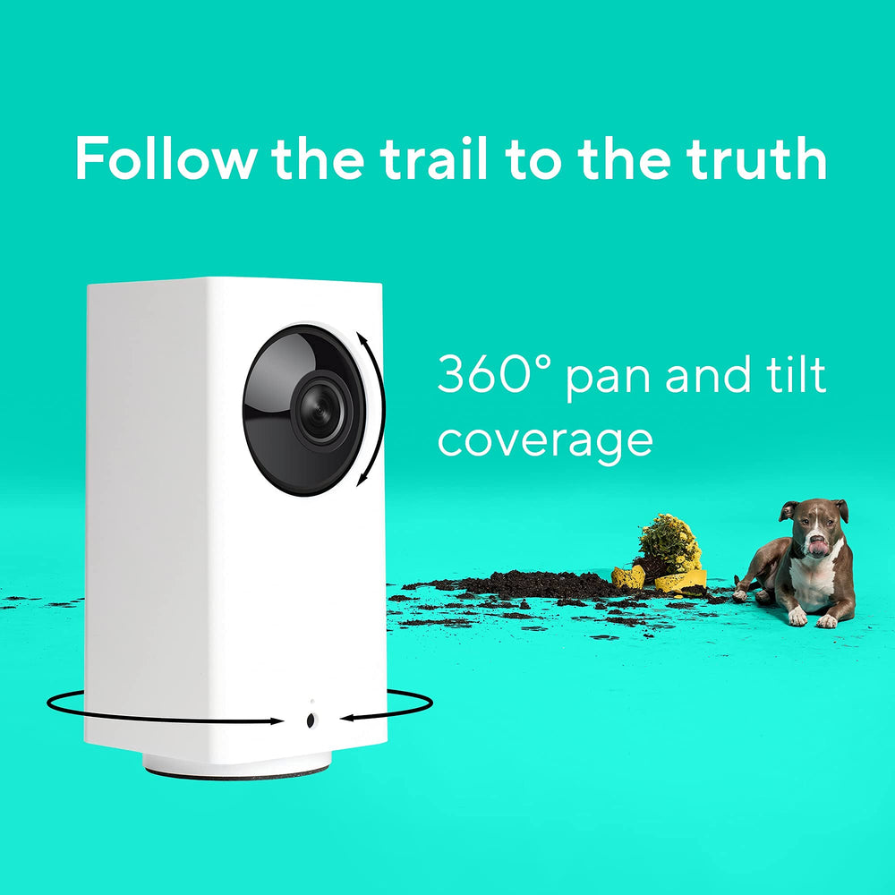 Wyze Cam Pan v2 color night vision reveals color detail in low light.