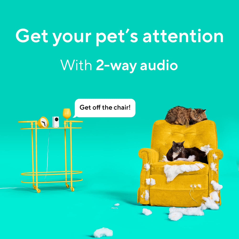 Wyze Cam Pan v2 detects motion and sound for alerts.