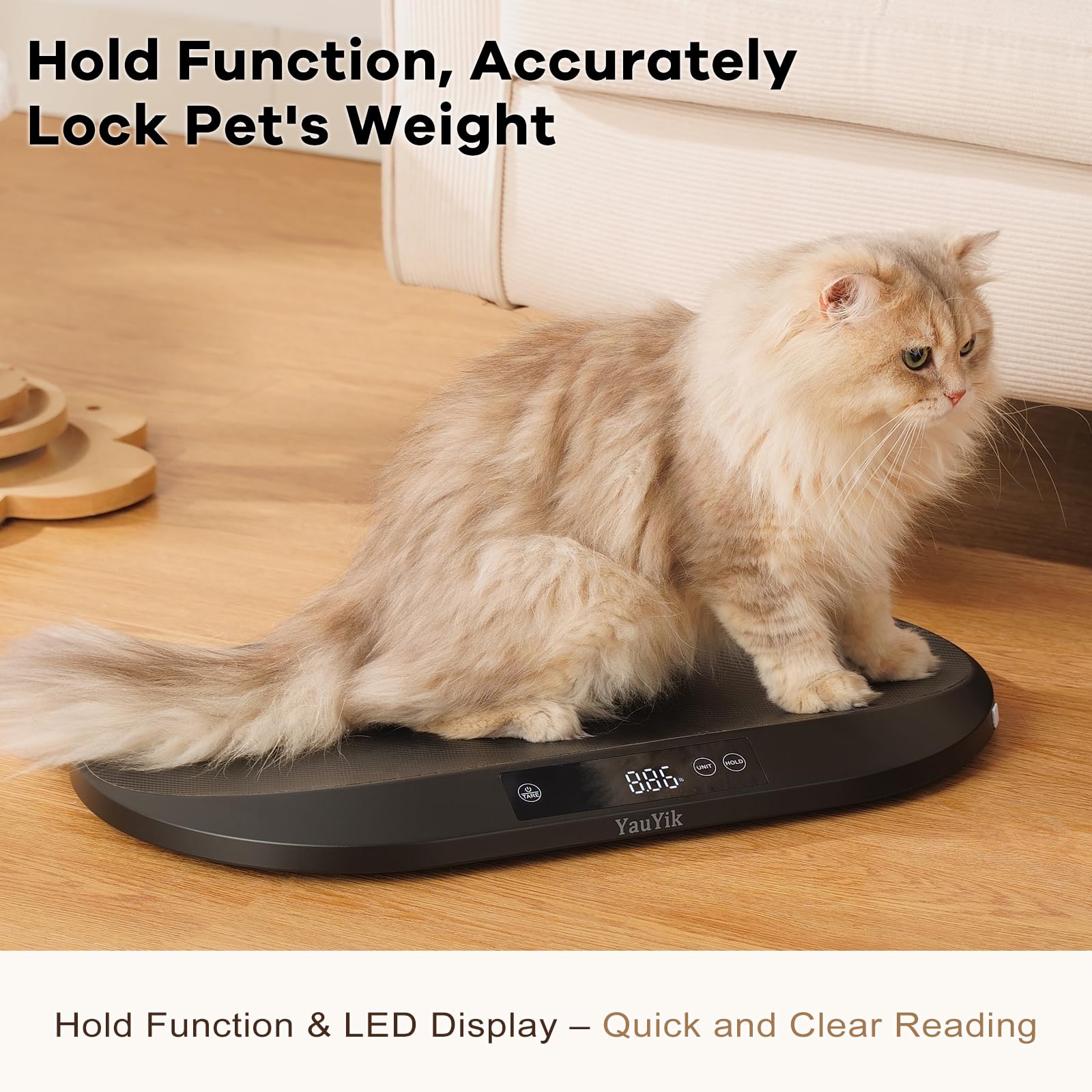 YauYik pet-scale with height tape measures after weight.