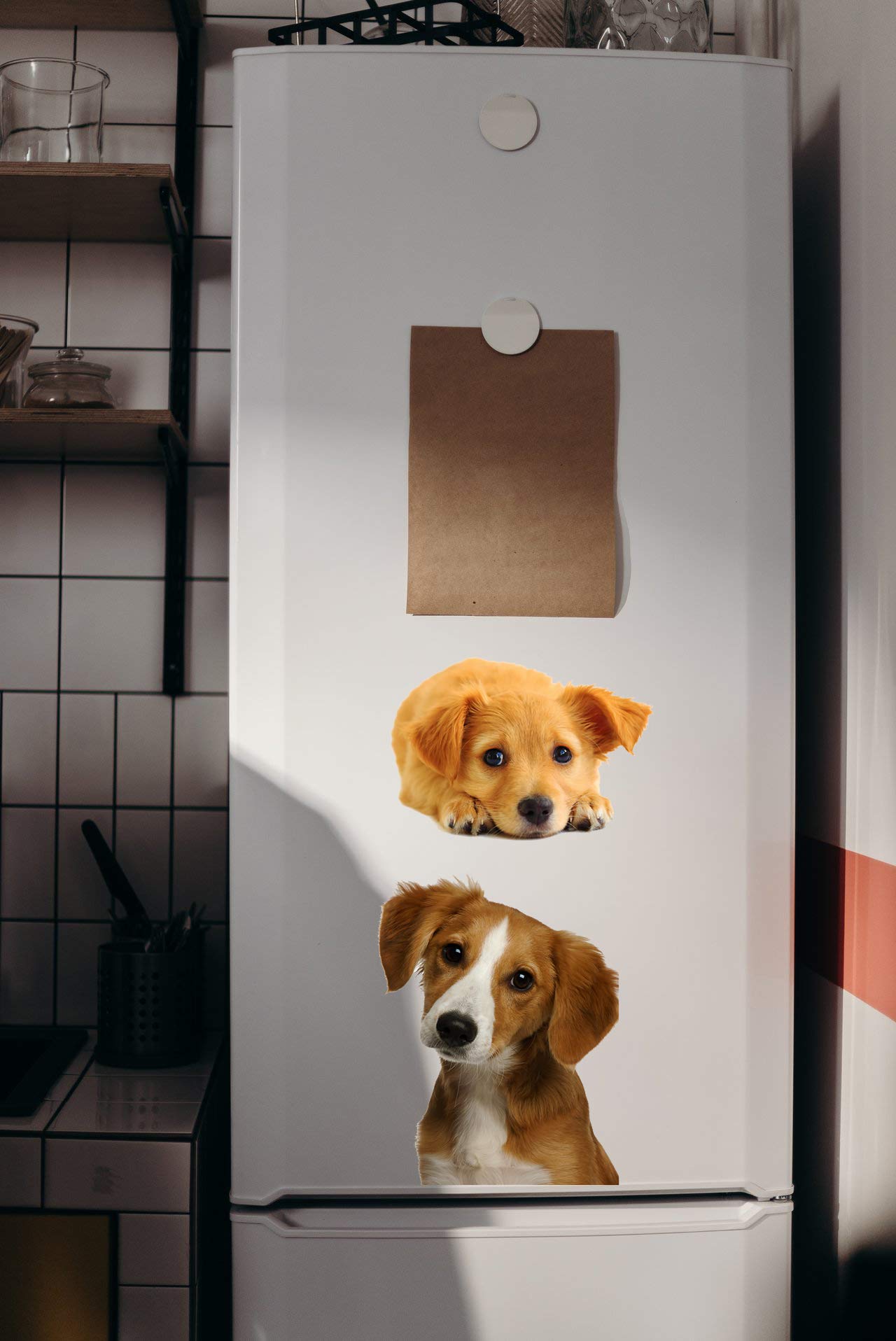 YINECO 17Dogs 3D dog wall sticker for bedroom; cozy focal point.