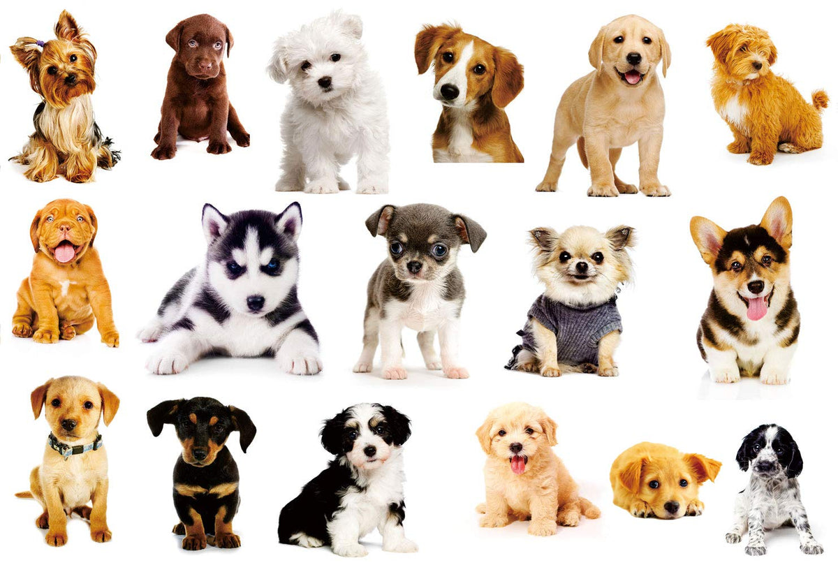 YINECO 17Dogs 3D dog wall sticker for living room; playful decor.