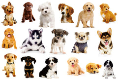 YINECO 17Dogs 3D dog wall sticker for living room; playful decor.