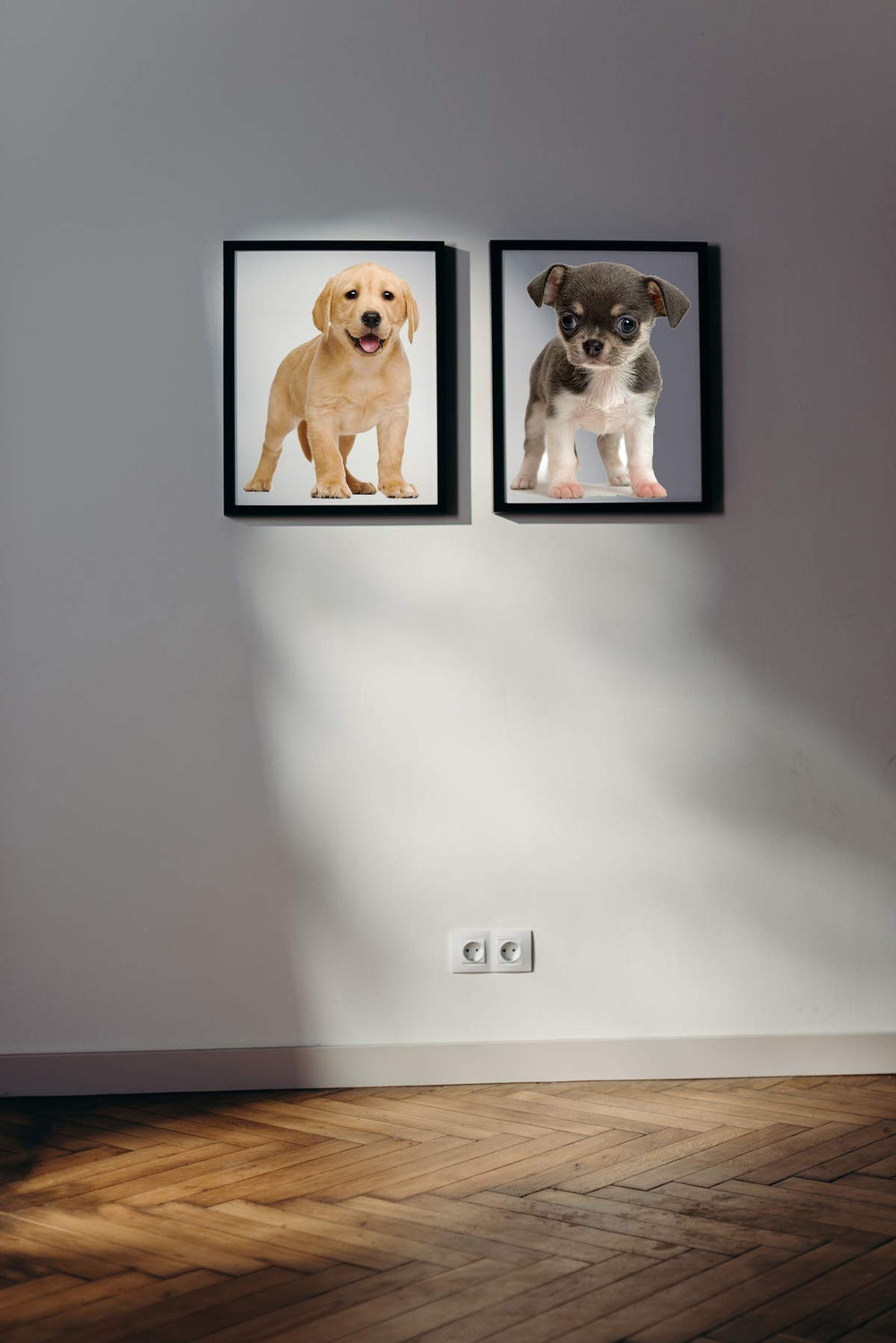 YINECO 17Dogs 3D dog wall sticker for nursery; friendly characters.