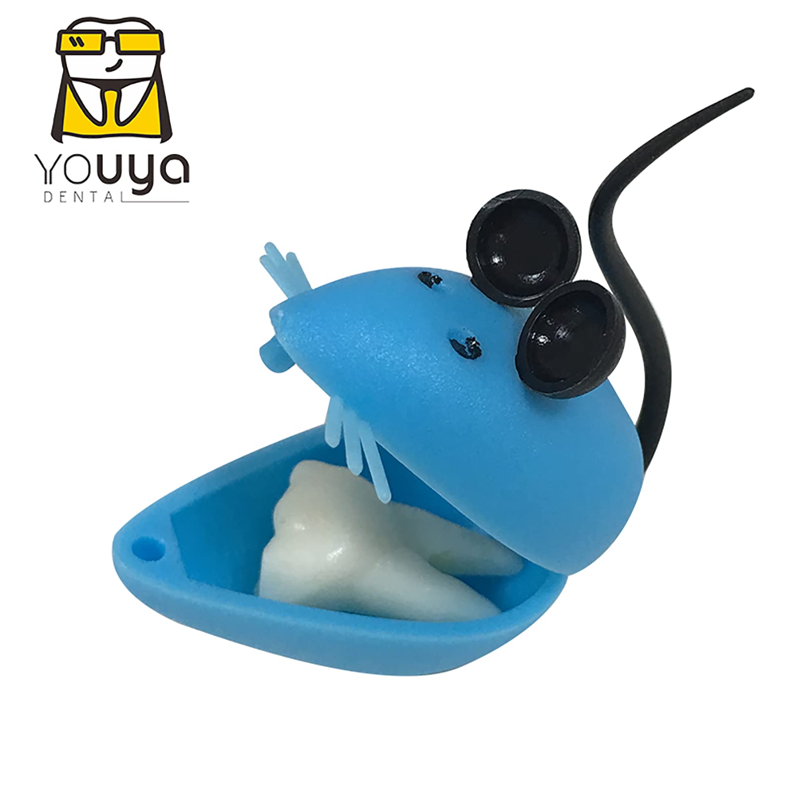 YOUYA DENTAL 50-piece teeth boxes set for kids keepsake collection