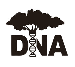 YOYOYU science DNA tree wall sticker in black accents living spaces and study corners.