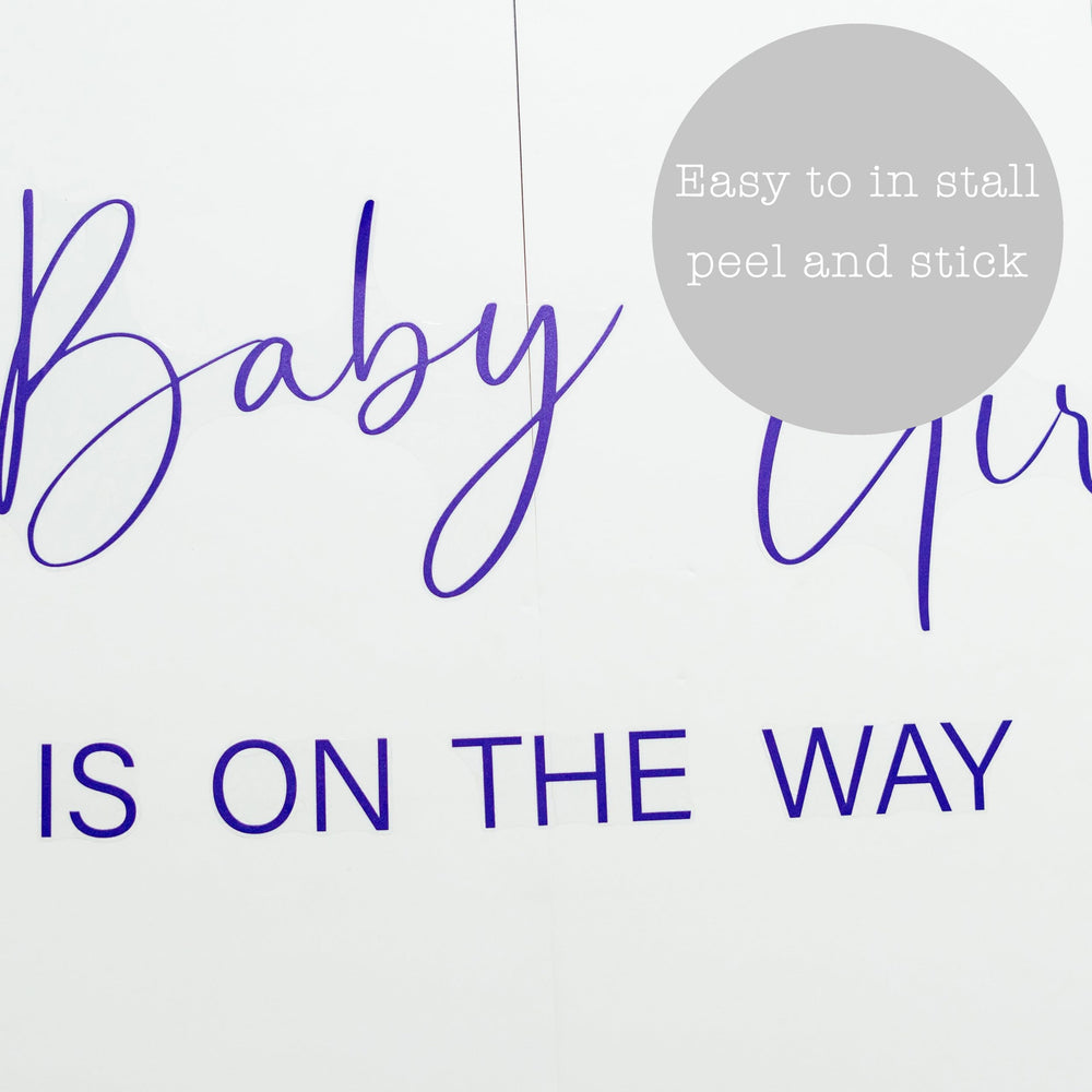 ZAIBIANHAO berry-themed decor adds joy to gender reveal celebrations