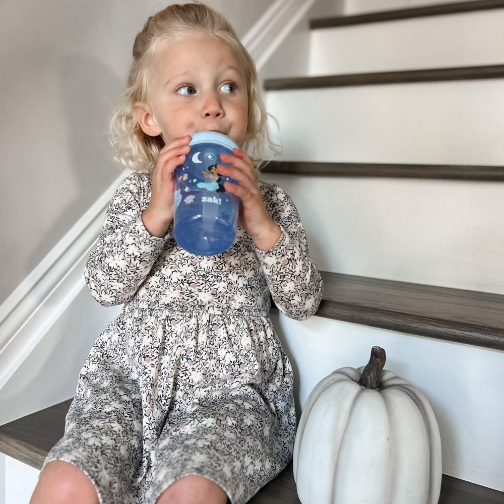 Zak Designs Disney Princess Kelso cups kid-friendly hydration companion.