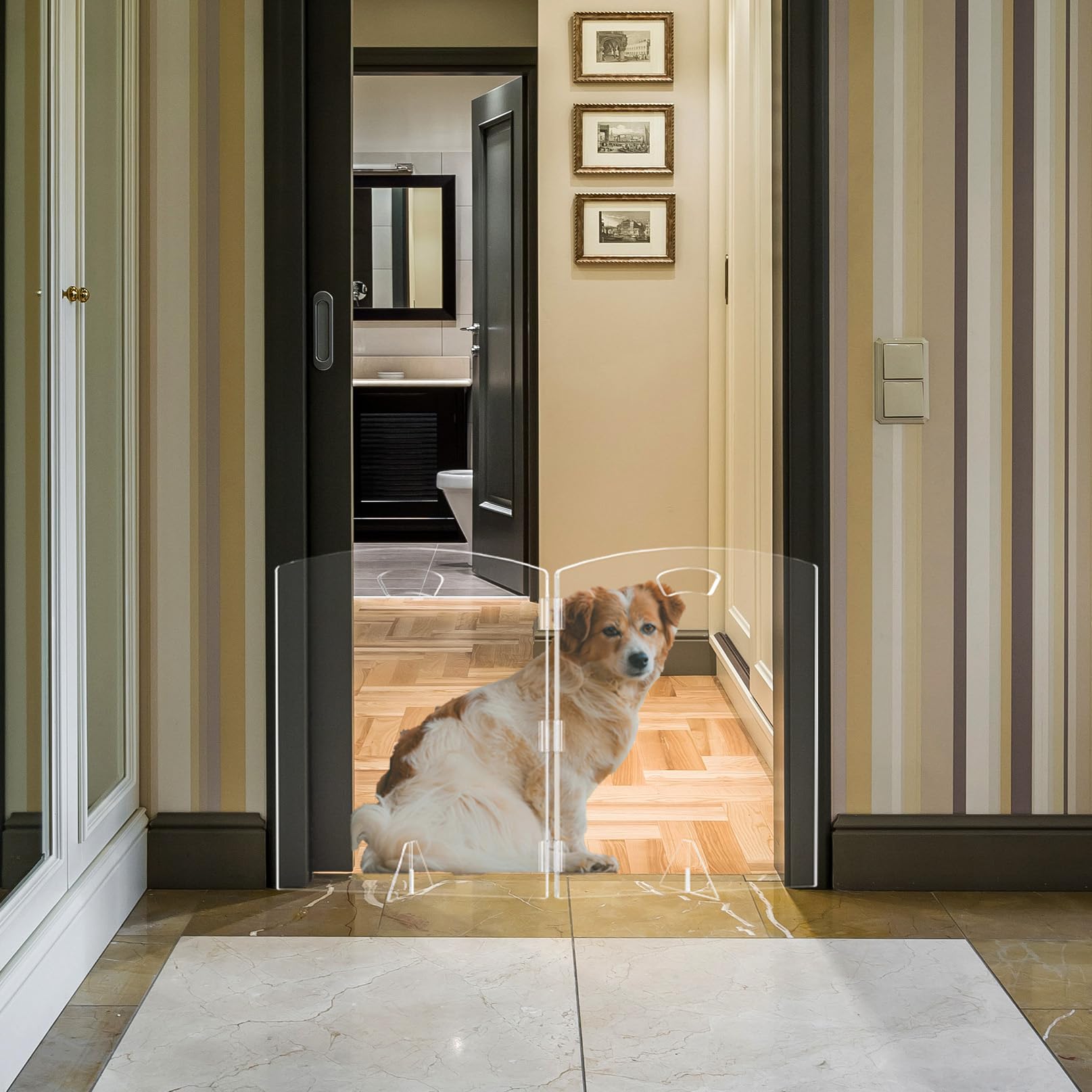 ZEDEGLOW clear freestanding dog gate in 40in width for doorway containment without drilling.