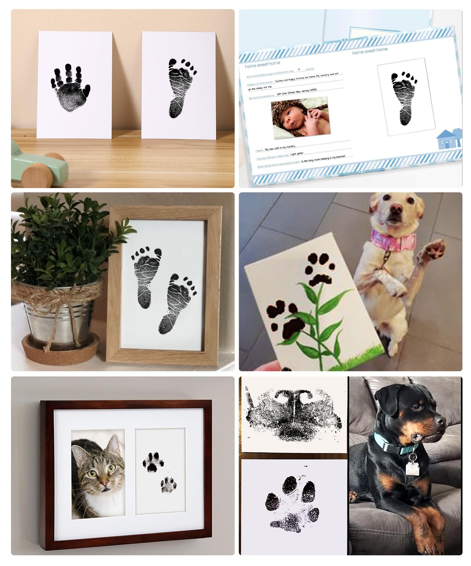 Zemiu pet paw print inkpad for easy paw impressions.