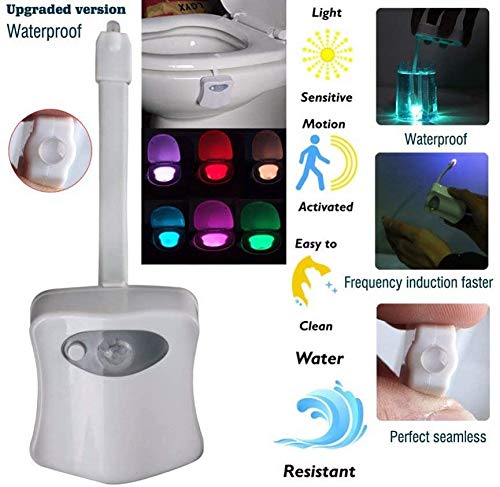 ZEZHOU gift-ready toilet light ideal for adults and seniors