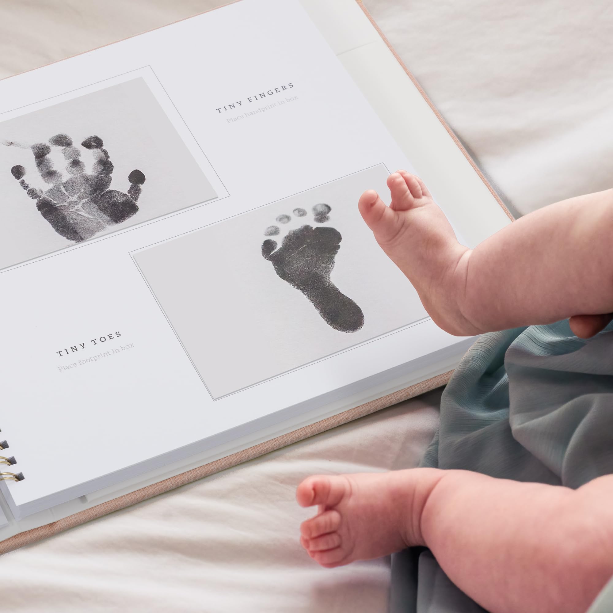 ZICOTO family tree and information pages, family history at a glance.
