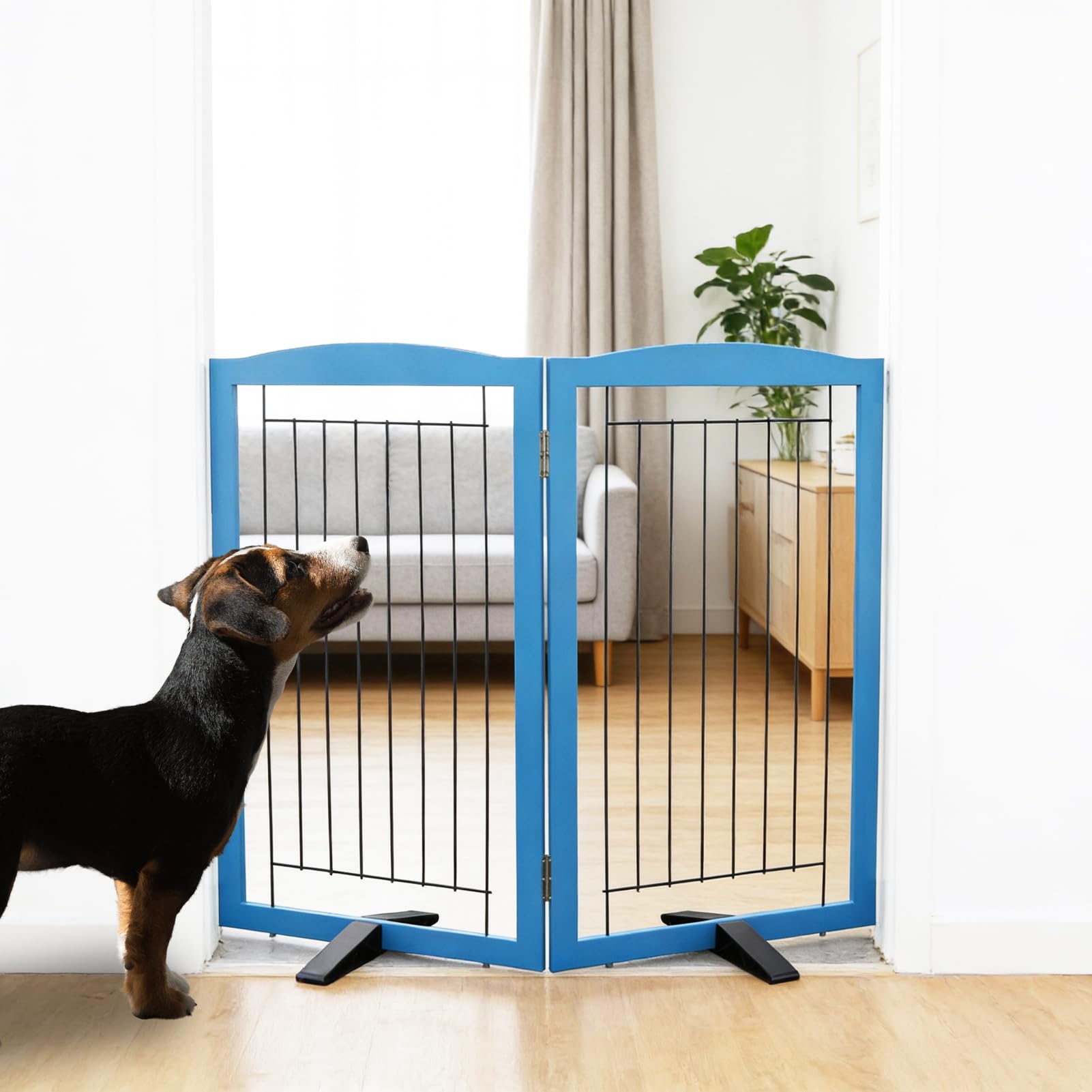 ZJSF blue wood two-panel gate open across hallway for space control