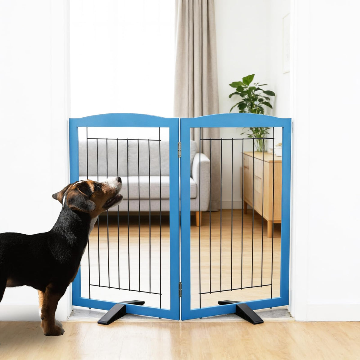 ZJSF blue wood two-panel gate open across hallway for space control
