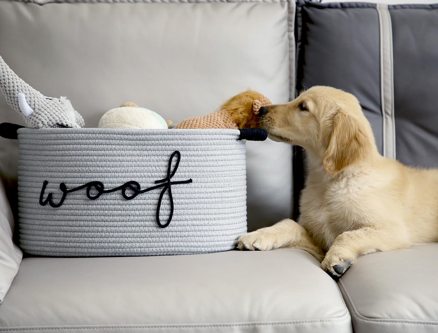 Zombati Woof dog basket beige design keeps blankets and toys organized.