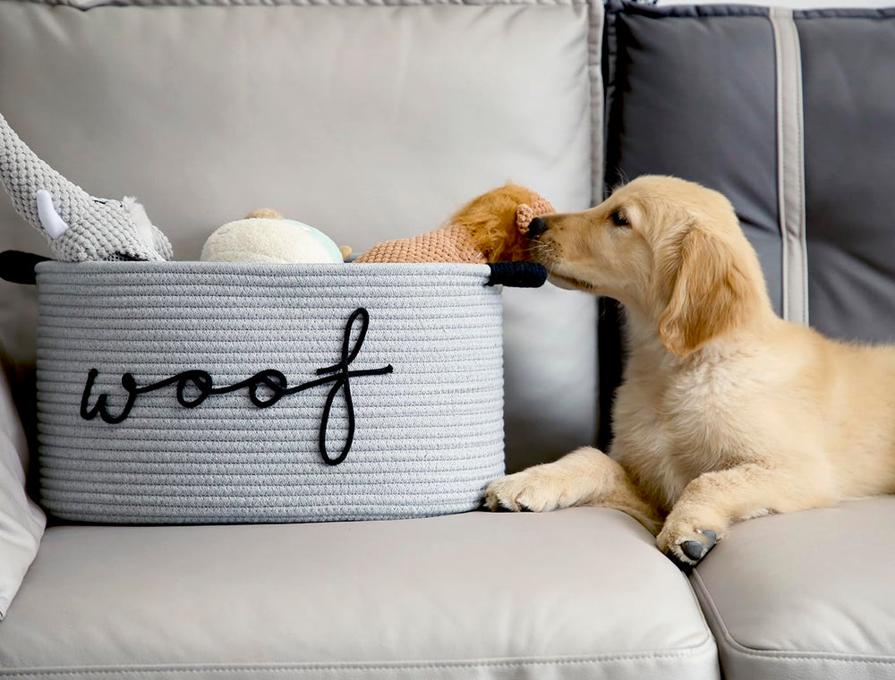 Zombati Woof dog basket beige design keeps blankets and toys organized.