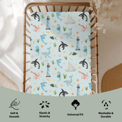 ZoUbqchY dolphin design adds playful night-time comfort