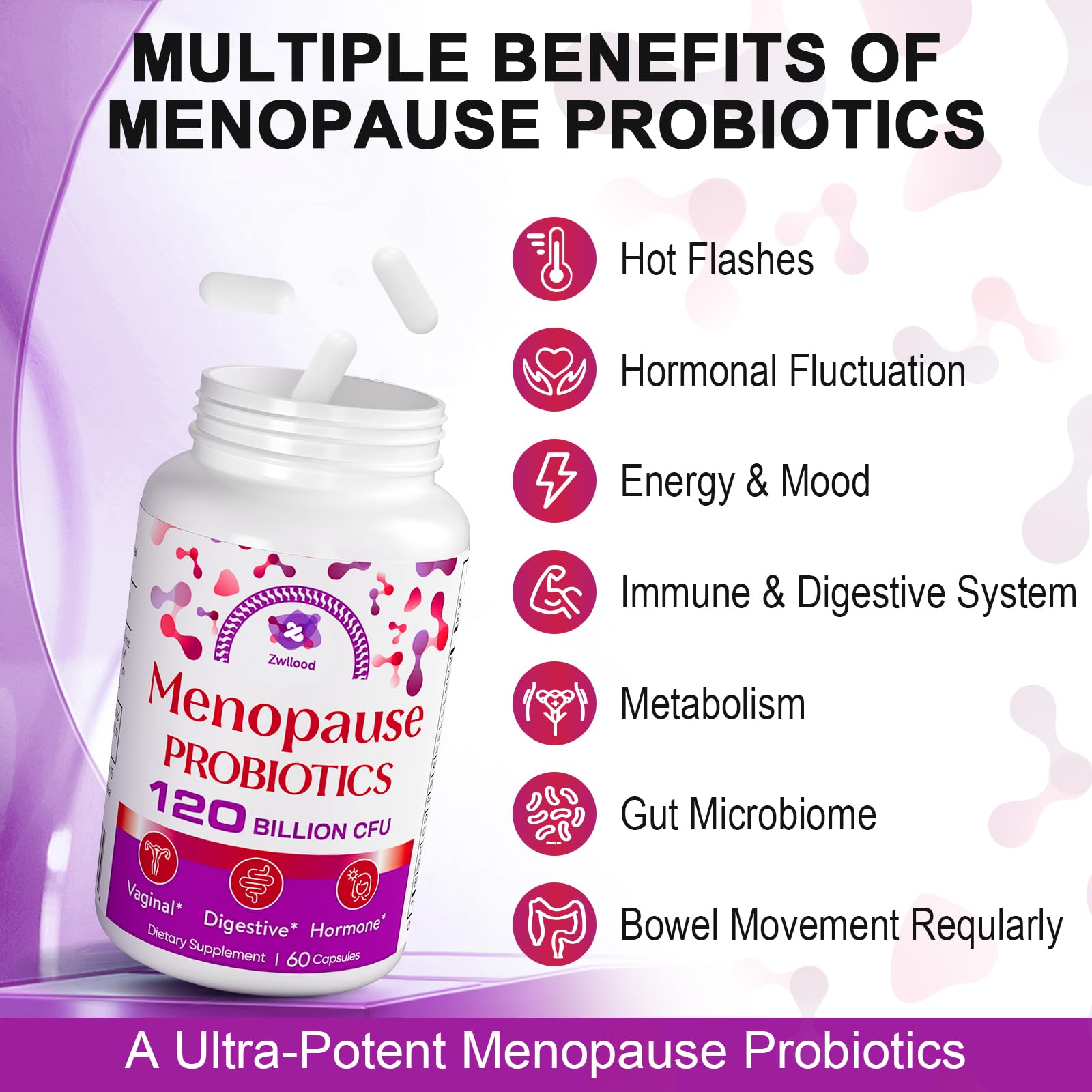 Zwllood Menopause Probiotics featuring 7 probiotic strains for gut and mood support